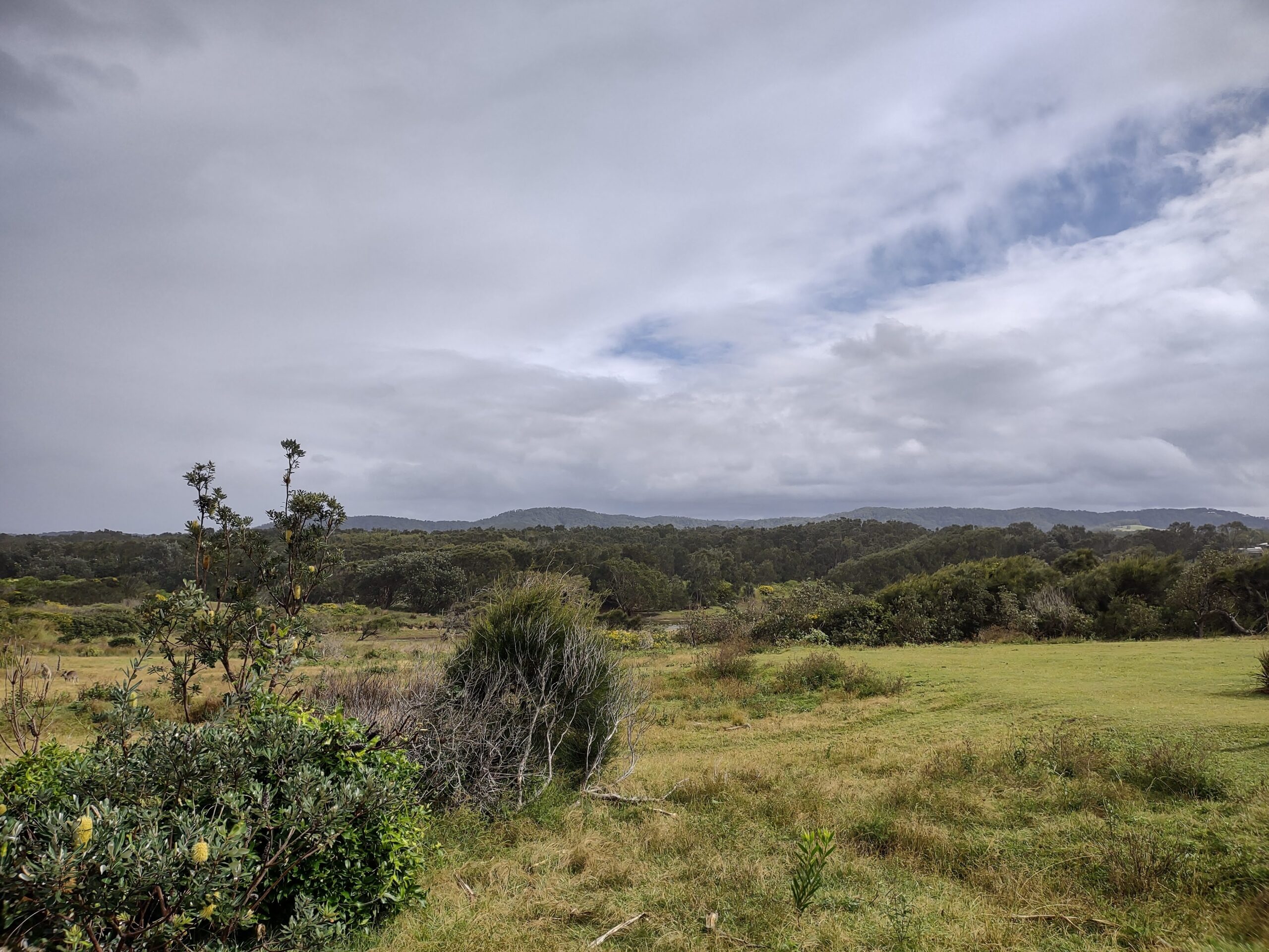 IMG_20230422_101216442_HDR